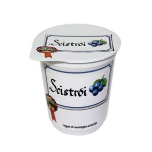 Yogurt di montagna ai mirtilli (Scistròi), Nostrani del Ticino