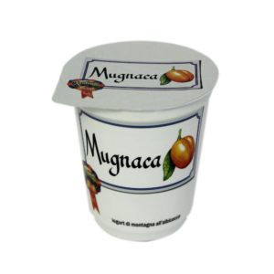 Mountain yogurt with apricots (Mugnaca), Nostrani del Ticino