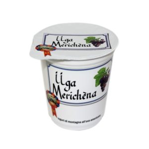 Yogurt Di Montagna All Uva Americana Üga Merichéna 180g Nostrani Del Ticino Agroval