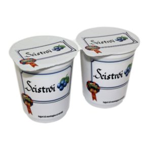 Yogurt di montagna ai mirtilli (Scistròi), Nostrani del Ticino
