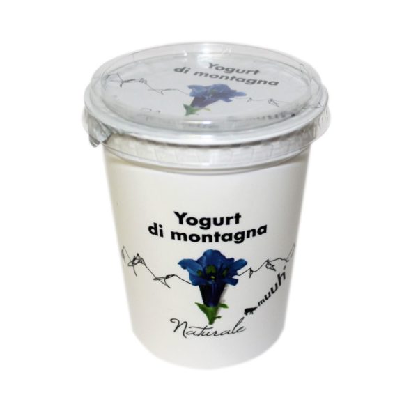 Yogurt Di Montagna Naturale 500g Muuh Agroval